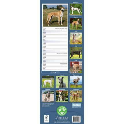 Avonside Greyhound Kalender 2026 Slimline