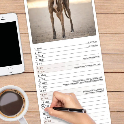 Avonside Greyhound Kalender 2027 Slimline