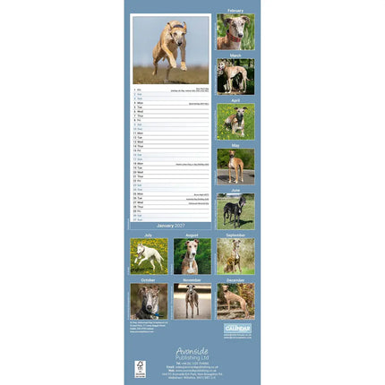 Avonside Greyhound Kalender 2027 Slimline