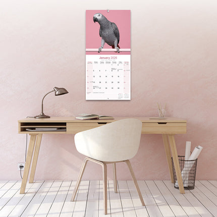 Avonside Grijze Roodstaart Kalender 2026