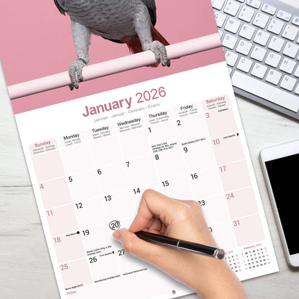 Avonside Grijze Roodstaart Kalender 2026