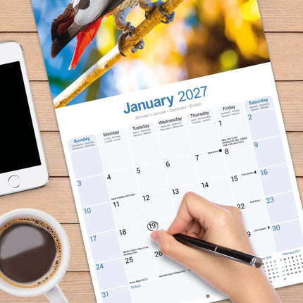 Avonside Grijze Roodstaart Kalender 2027