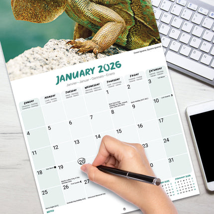 Avonside Hagedissen Kalender 2026