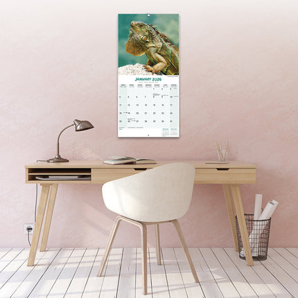 Avonside Hagedissen Kalender 2026