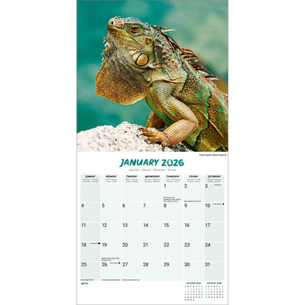 Avonside Hagedissen Kalender 2026