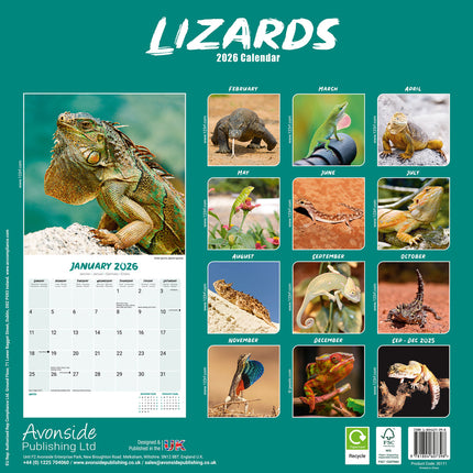 Avonside Hagedissen Kalender 2026