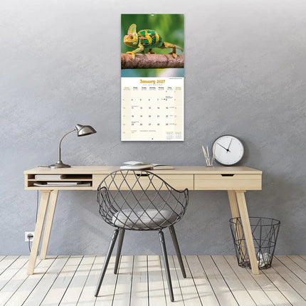 Avonside Hagedissen Kalender 2027