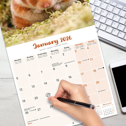 Avonside Hamster Kalender 2026