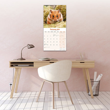 Avonside Hamster Kalender 2026