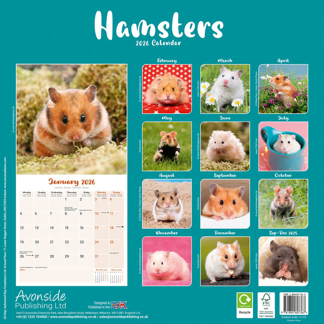 Avonside Hamster Kalender 2026