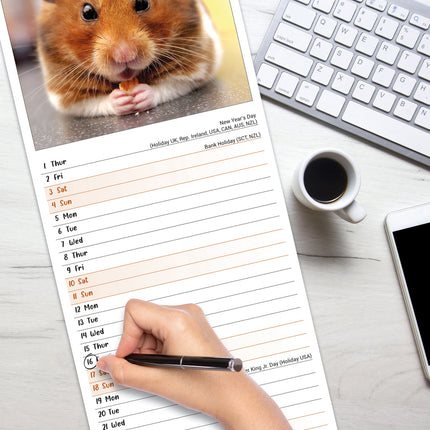 Avonside Hamster Kalender 2026 Slimline