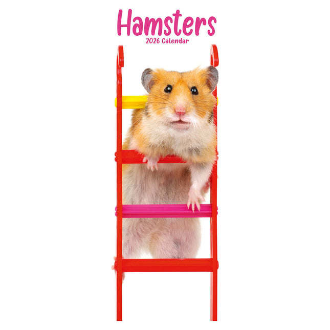 Avonside Hamster Kalender 2026 Slimline