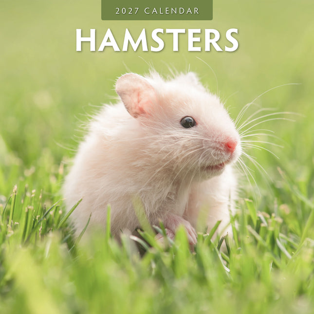 Avonside Hamster Kalender 2027