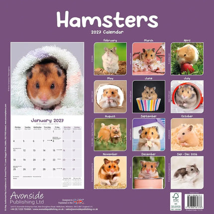 Avonside Hamster Kalender 2027