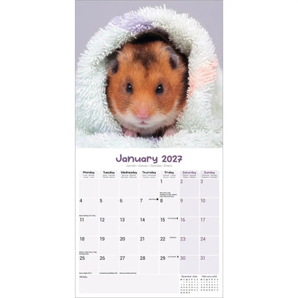 Avonside Hamster Kalender 2027