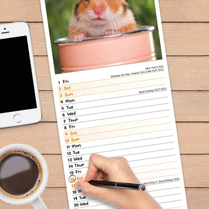 Avonside Hamster Kalender 2027 Slimline