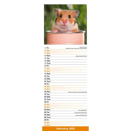 Avonside Hamster Kalender 2027 Slimline