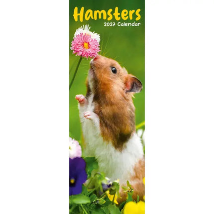 Avonside Hamster Kalender 2027 Slimline