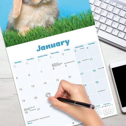 Avonside Hangoor Konijn Kalender 2026