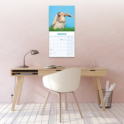 Avonside Hangoor Konijn Kalender 2026