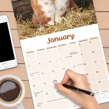 Avonside Hangoor Konijn Kalender 2027