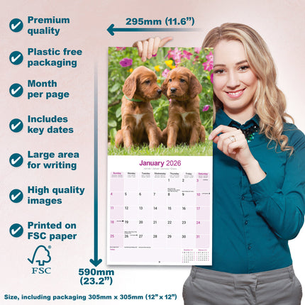 Avonside Ierse Setter Kalender 2026