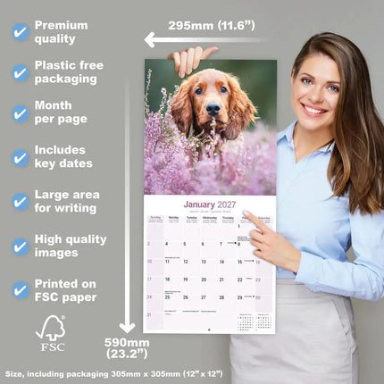 Avonside Ierse Setter Kalender 2027