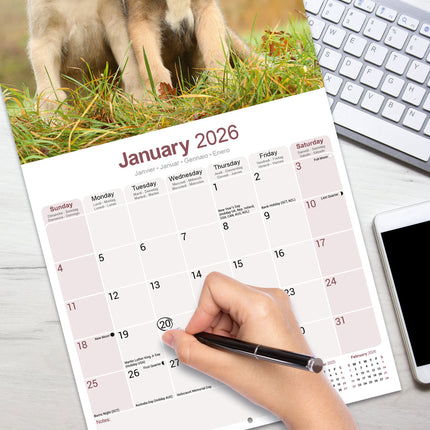 Avonside Ierse Wolfshond Kalender 2026