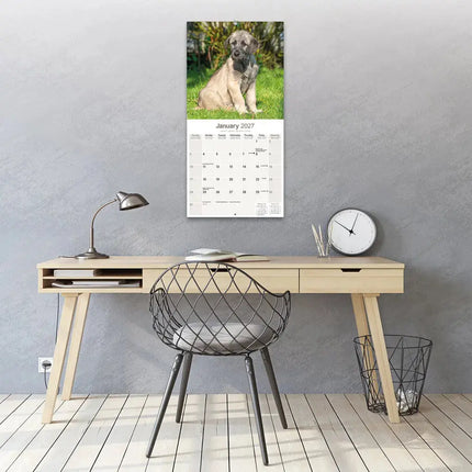 Avonside Ierse Wolfshond Kalender 2027