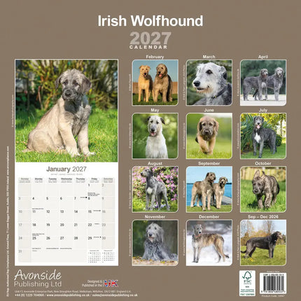 Avonside Ierse Wolfshond Kalender 2027