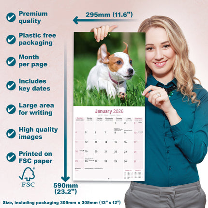 Avonside Jack Russell Terrier Kalender 2026