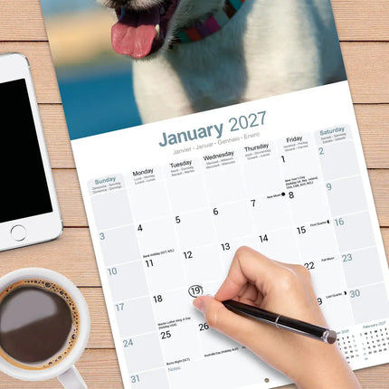 Avonside Jack Russell Terrier Kalender 2027