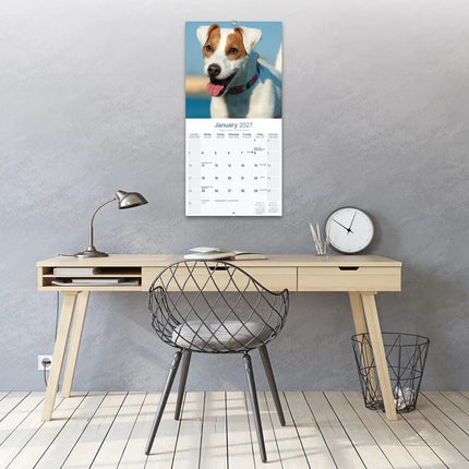Avonside Jack Russell Terrier Kalender 2027