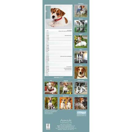 Avonside Jack Russell Terrier Kalender 2027 Slimline