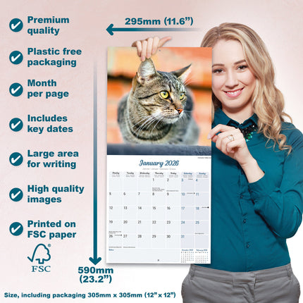 Avonside Katten Kalender 2026