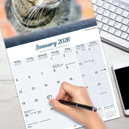 Avonside Katten Kalender 2026