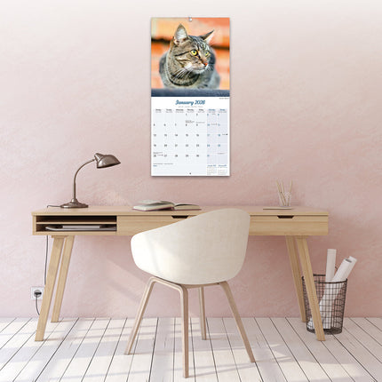 Avonside Katten Kalender 2026