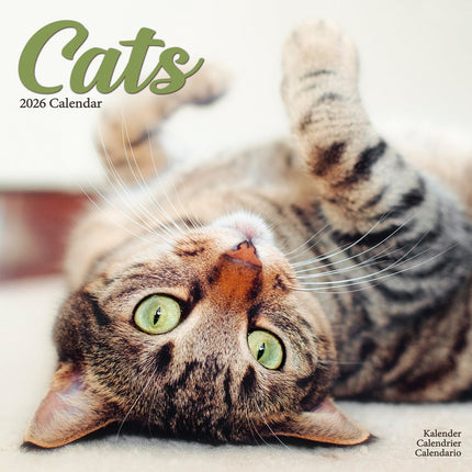 Avonside Katten Kalender 2026
