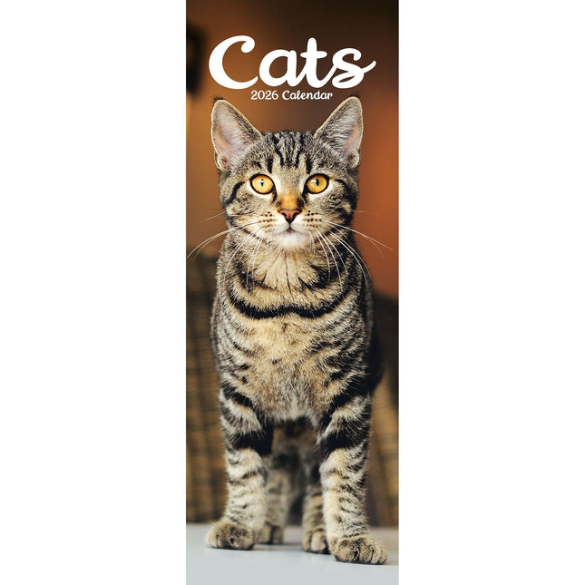 Avonside Katten Kalender 2026 Slimline