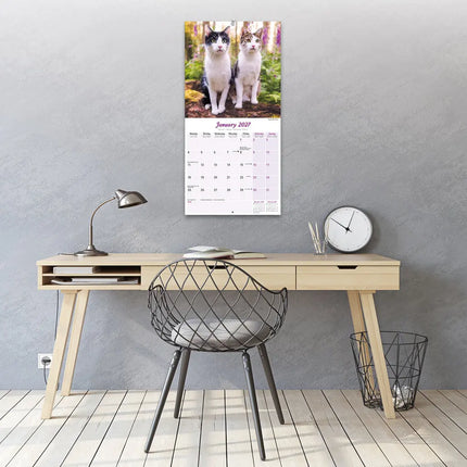 Avonside Katten Kalender 2027
