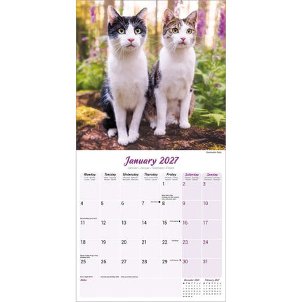 Avonside Katten Kalender 2027