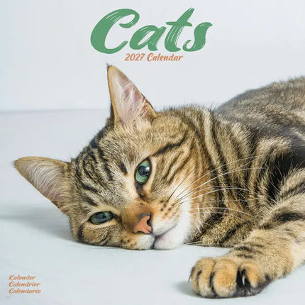 Avonside Katten Kalender 2027