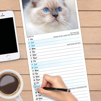 Avonside Katten Slimline Kalender 2027