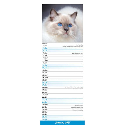 Avonside Katten Slimline Kalender 2027