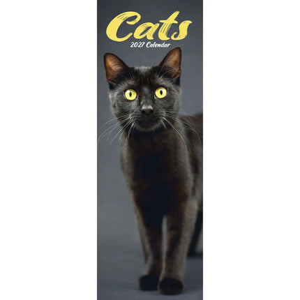 Avonside Katten Slimline Kalender 2027