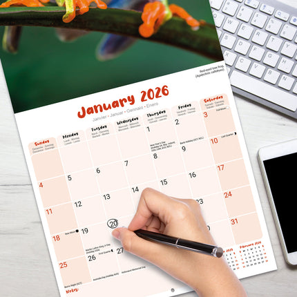 Avonside Kikker Kalender 2026