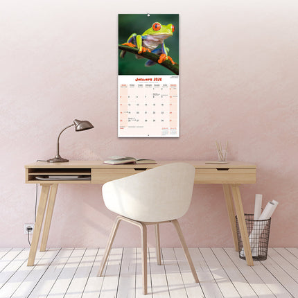 Avonside Kikker Kalender 2026