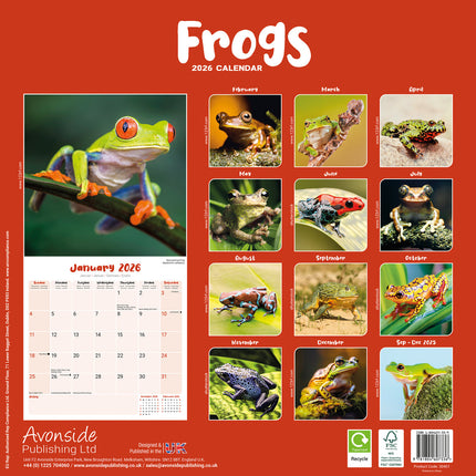 Avonside Kikker Kalender 2026