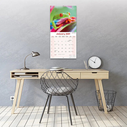 Avonside Kikker Kalender 2027