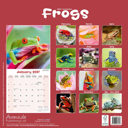 Avonside Kikker Kalender 2027